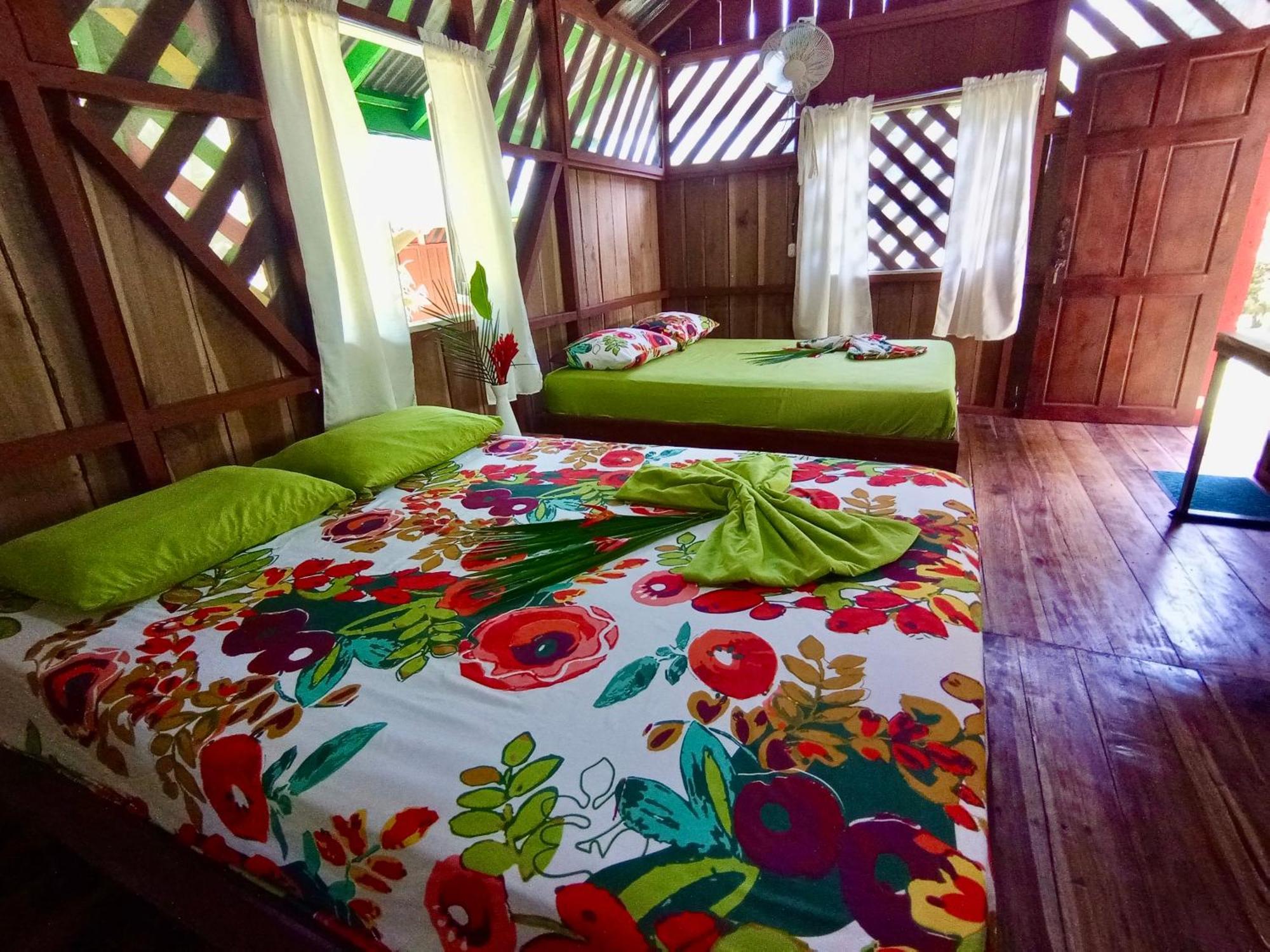 Alouatta Lodge And Canopy Cahuita Exterior foto