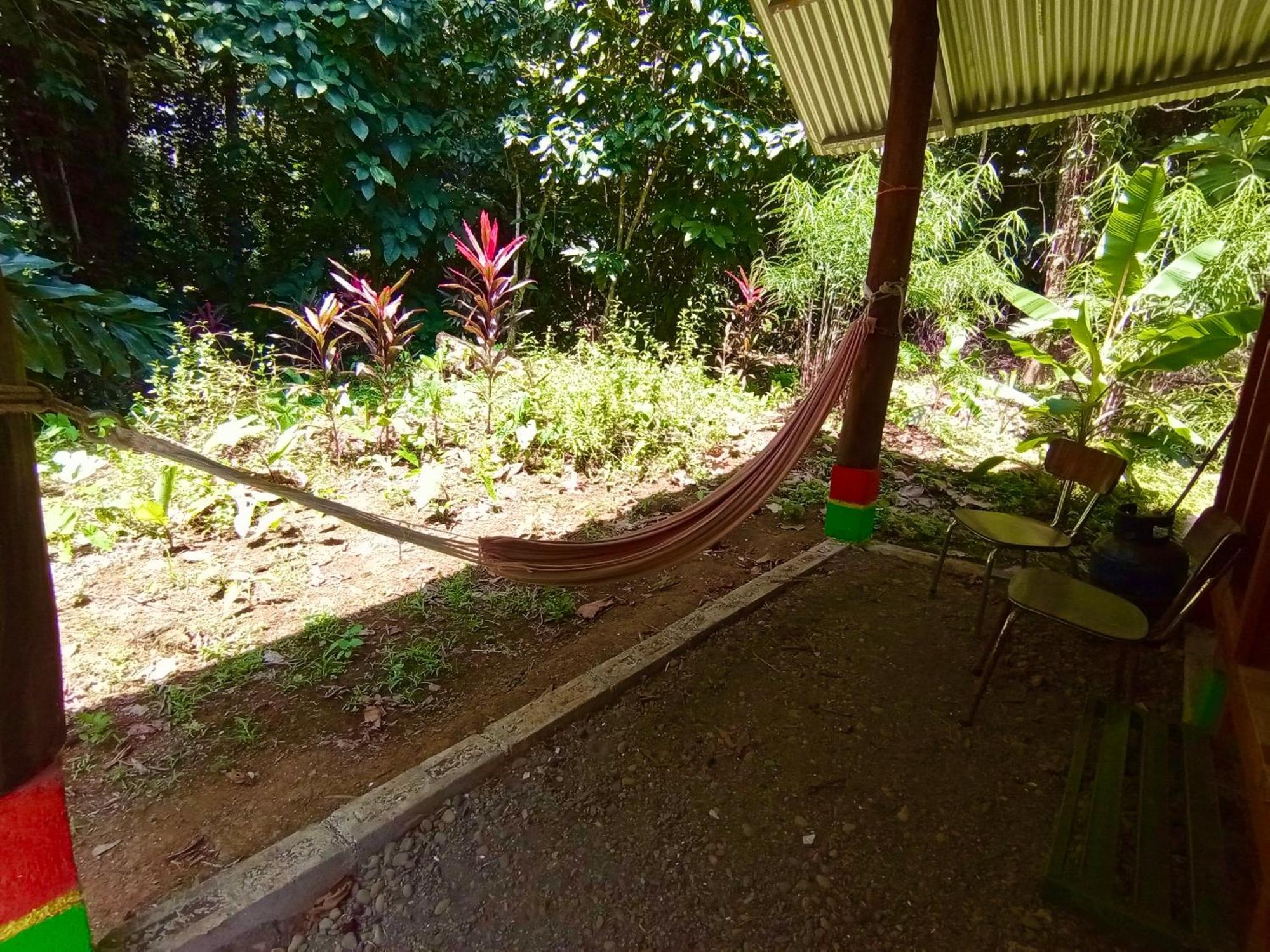 Alouatta Lodge And Canopy Cahuita Exterior foto