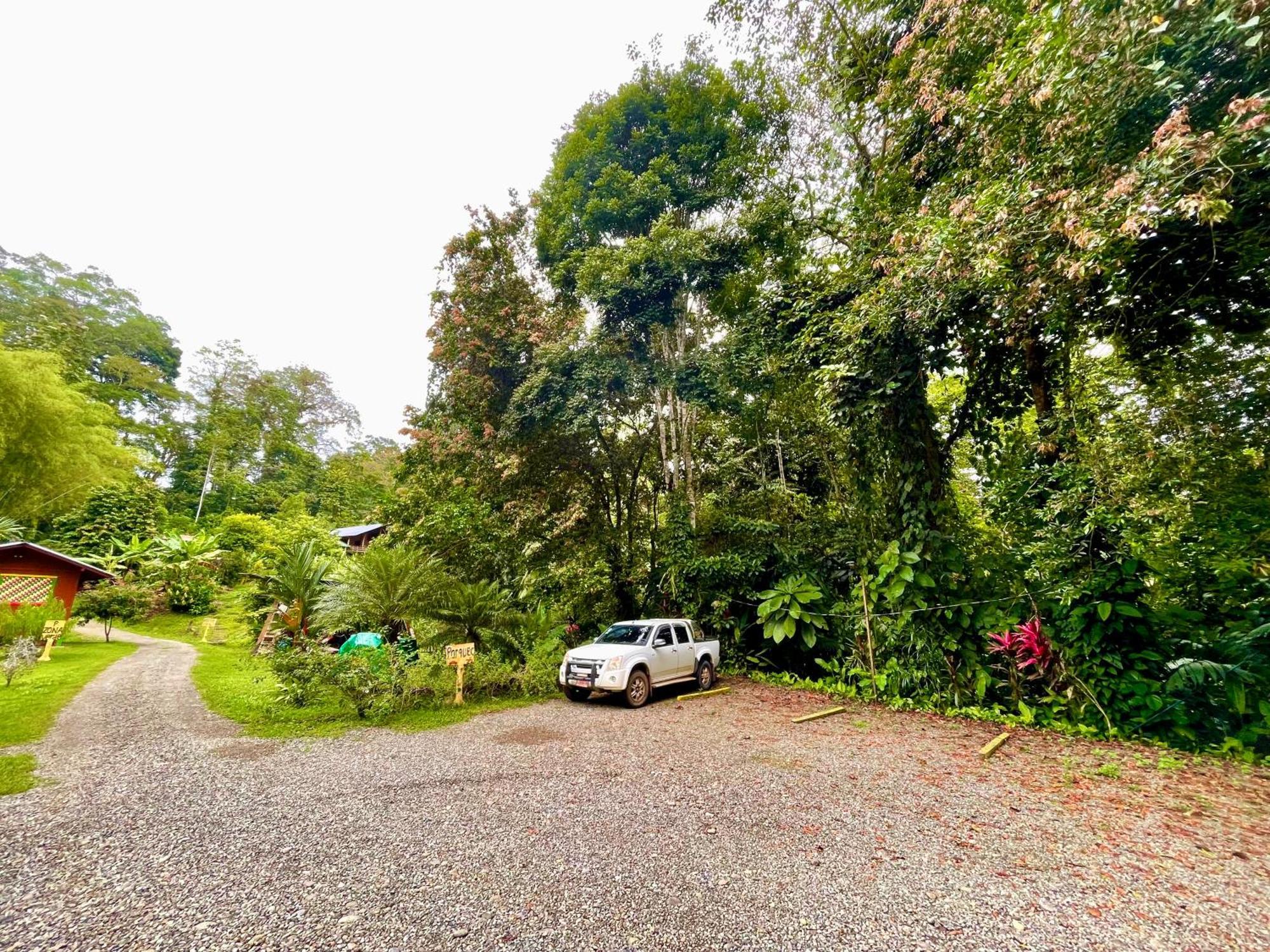 Alouatta Lodge And Canopy Cahuita Exterior foto