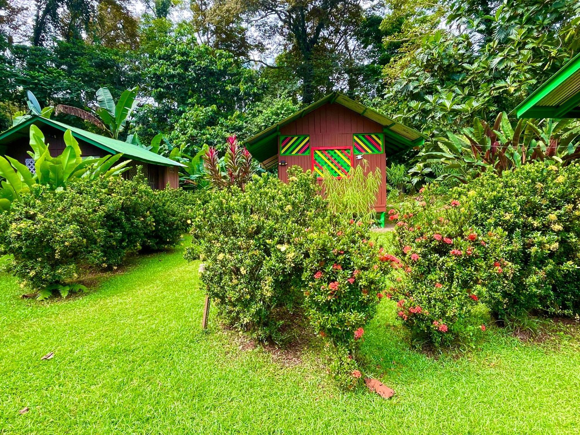 Alouatta Lodge And Canopy Cahuita Exterior foto