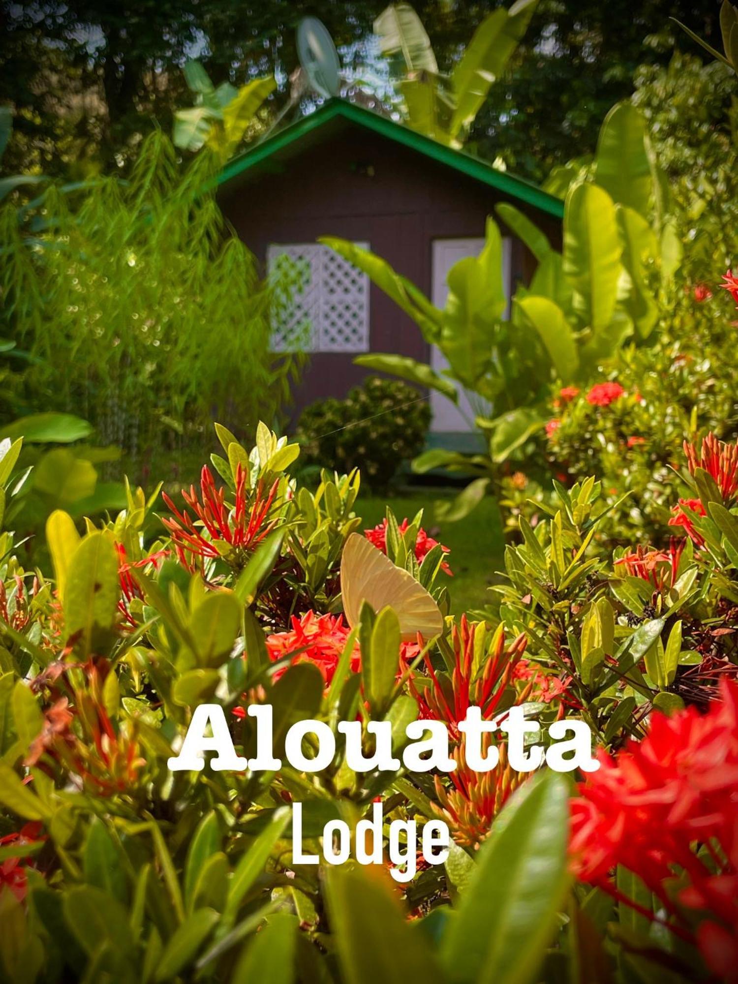 Alouatta Lodge And Canopy Cahuita Exterior foto