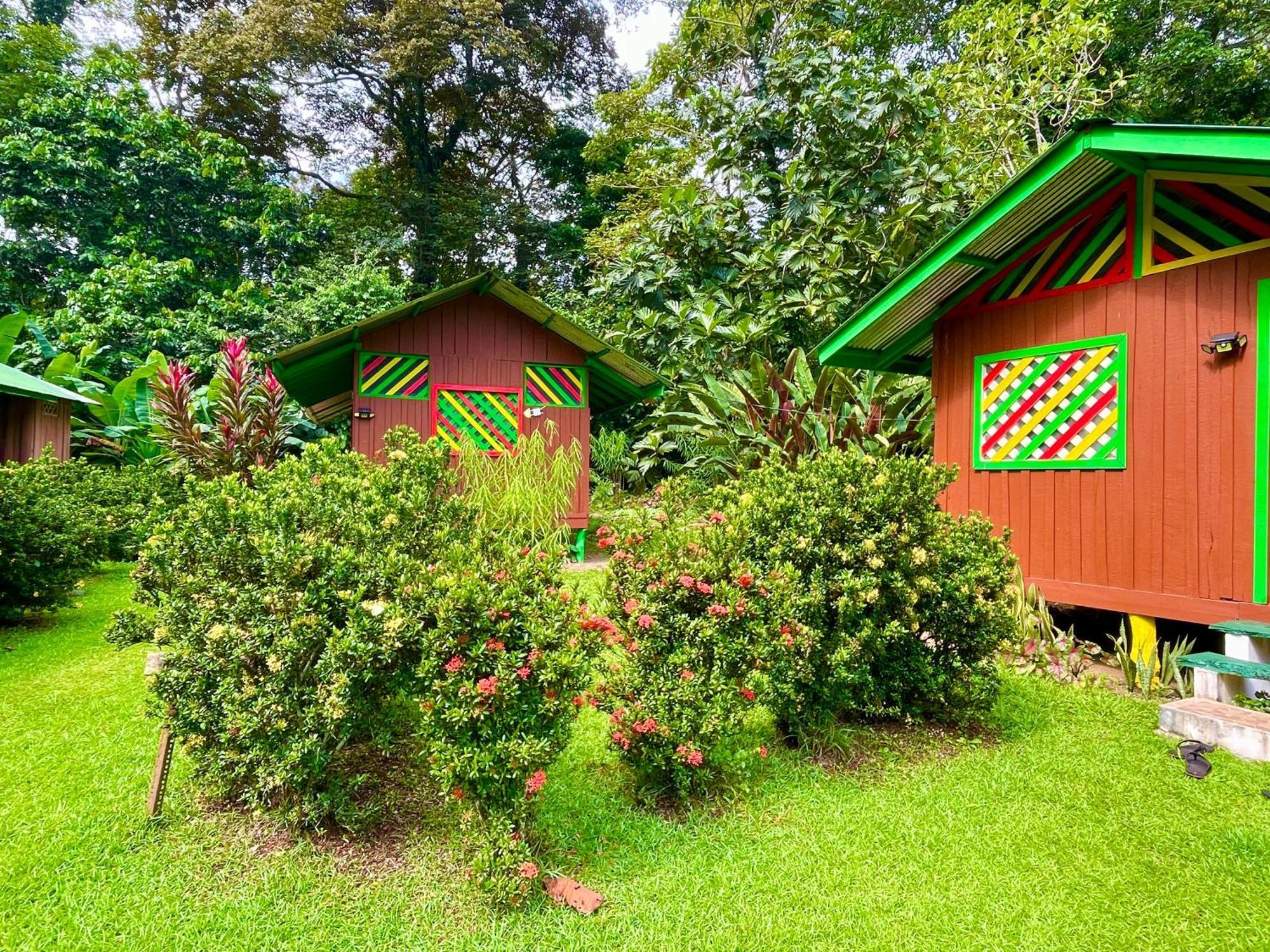 Alouatta Lodge And Canopy Cahuita Exterior foto