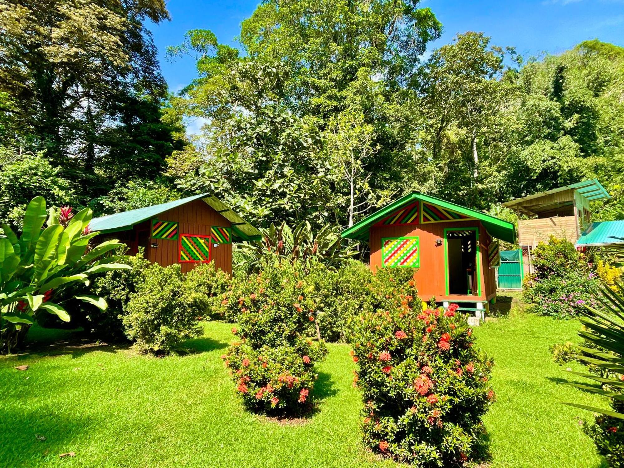 Alouatta Lodge And Canopy Cahuita Exterior foto