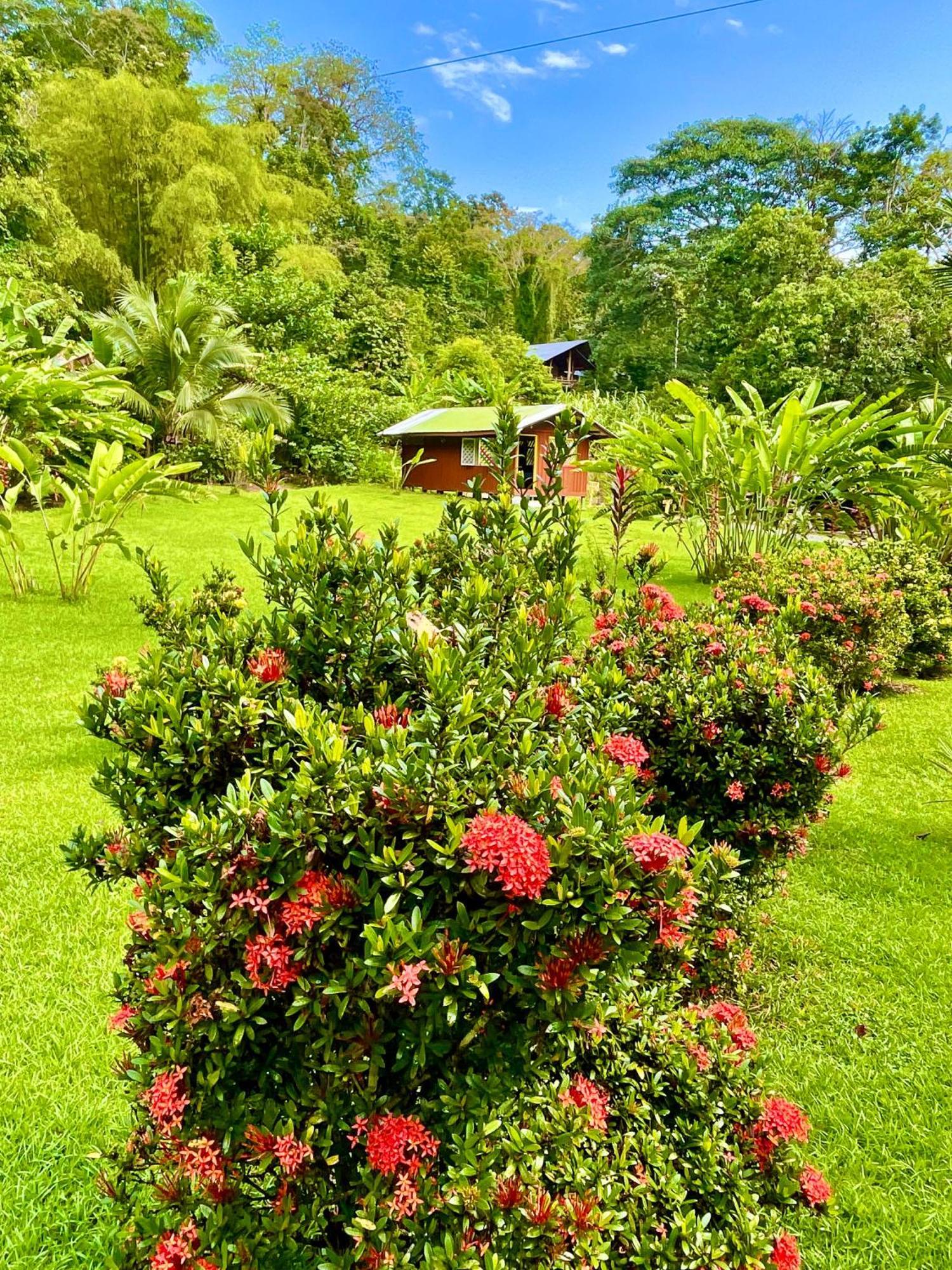 Alouatta Lodge And Canopy Cahuita Exterior foto